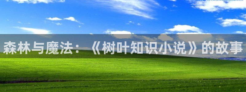 同人小说是