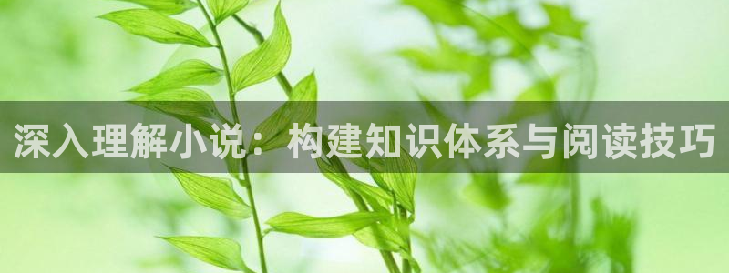 h同人小说网：深入理解小说：构建知识体系与阅读技巧