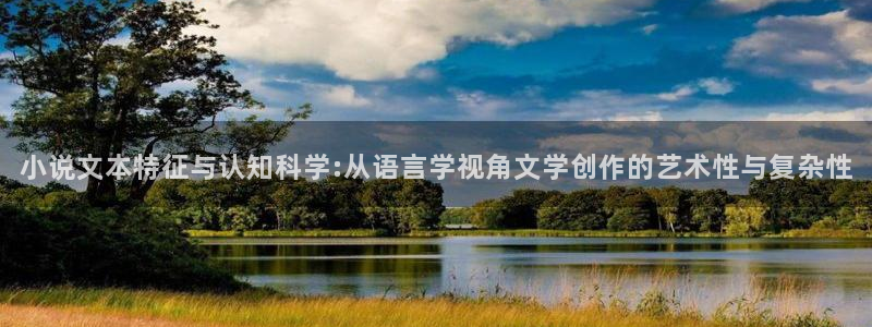 同人小说站：小说文本特征与认知科学:从语言学视角文学创作的艺术性与复杂性
